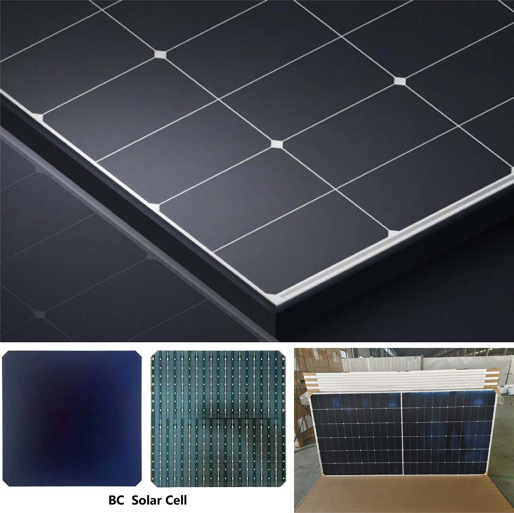 BC solar panel